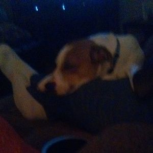 Meet your Posher, Randy